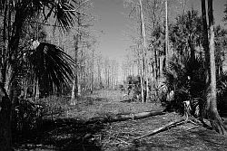 Florida Native Land
