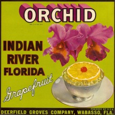 Orchid Label